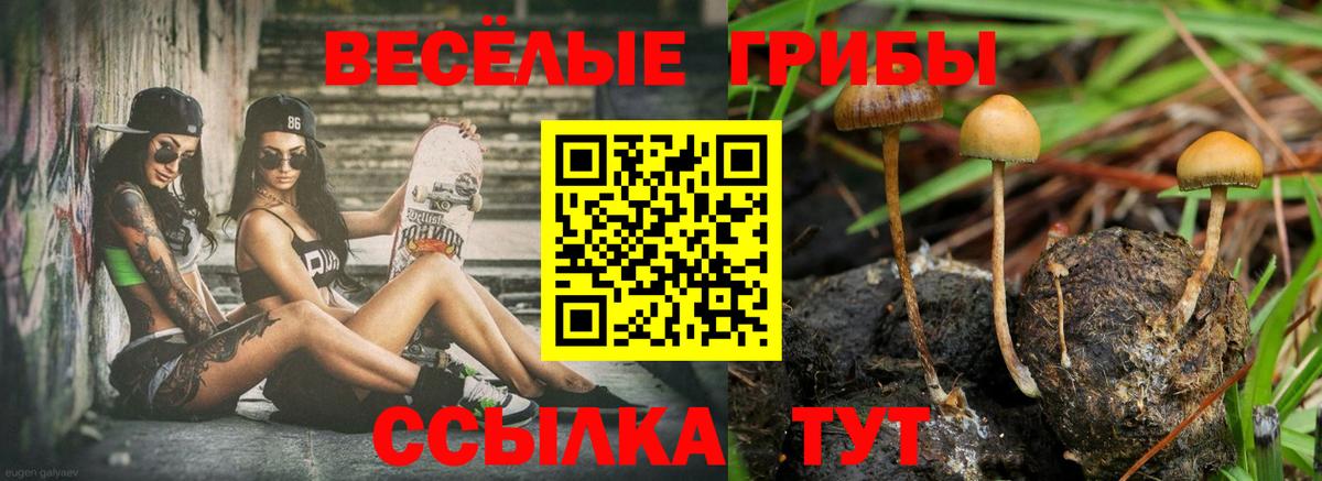 Псилоцибиновые грибы ЛСД  наркота  Галлюциногенные грибы GOLDEN TEACHER  Лесозаводск  Вход с VPN 